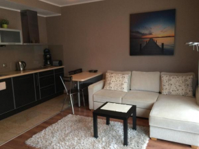 Отель Apartament Stella Baltic  Свиноуйсьце